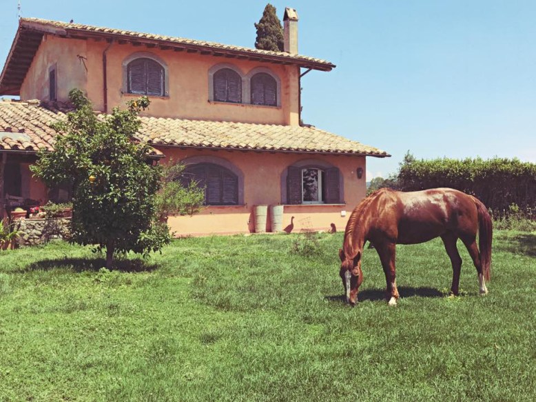 18839012_10159000515945107_5686576499080394814_n copia